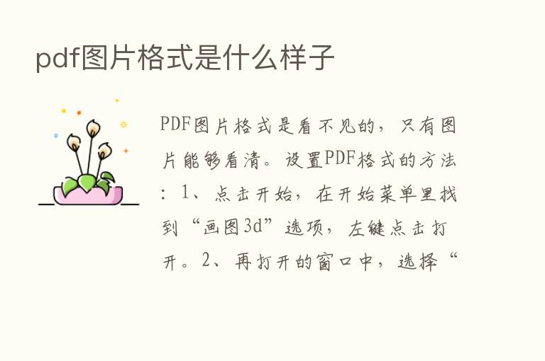 pdf图片格式是什么样子