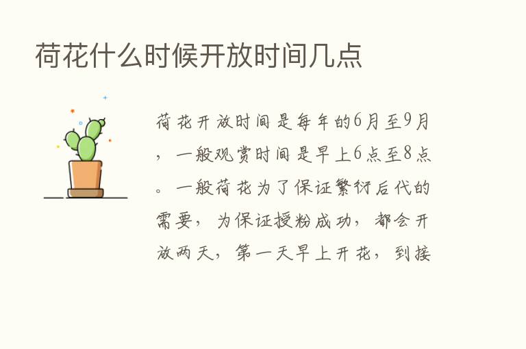 荷花什么时候开放时间几点