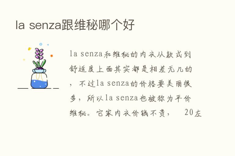 la senza跟维秘哪个好