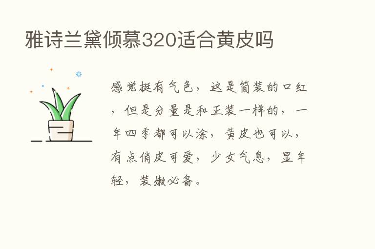 雅诗兰黛倾慕320适合黄皮吗