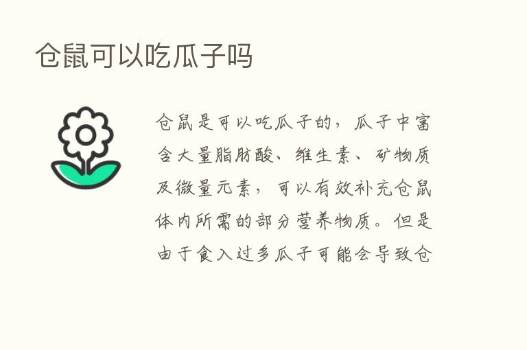 仓鼠可以吃瓜子吗