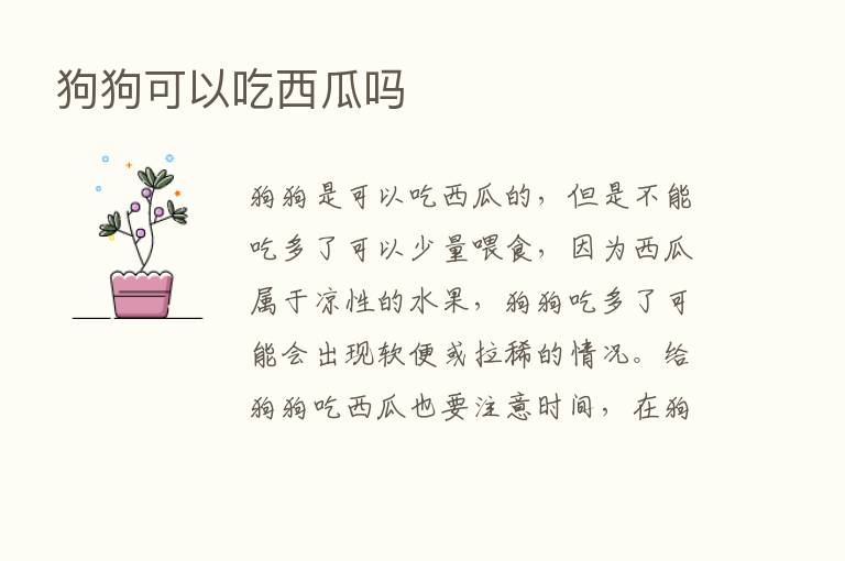 狗狗可以吃西瓜吗