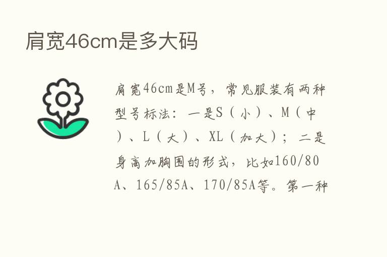 肩宽46cm是多大码