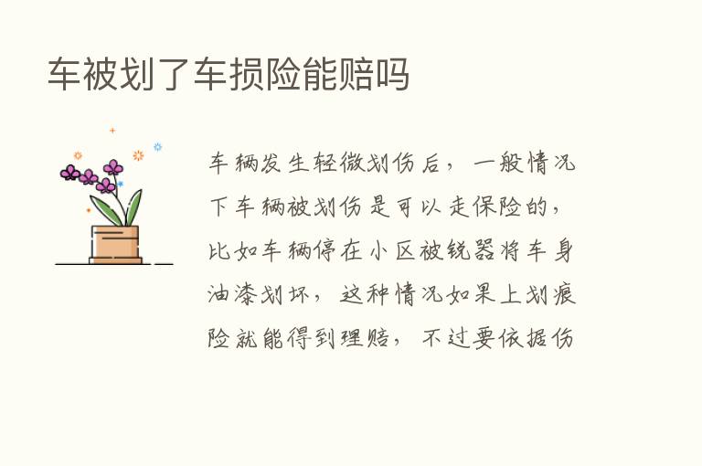 车被划了车损险能赔吗