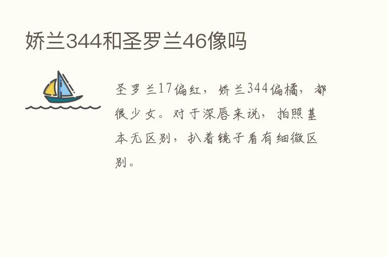 娇兰344和圣罗兰46像吗