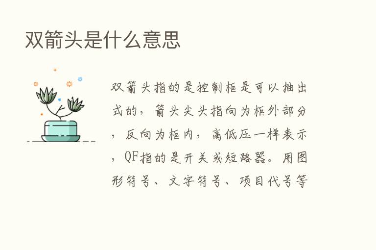 双箭头是什么意思