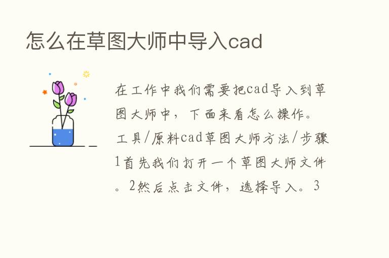 怎么在草图大师中导入cad