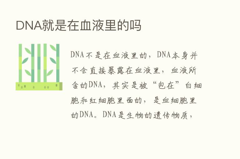 DNA就是在血液里的吗