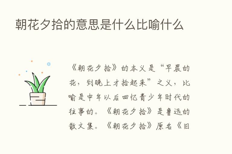 朝花夕拾的意思是什么比喻什么