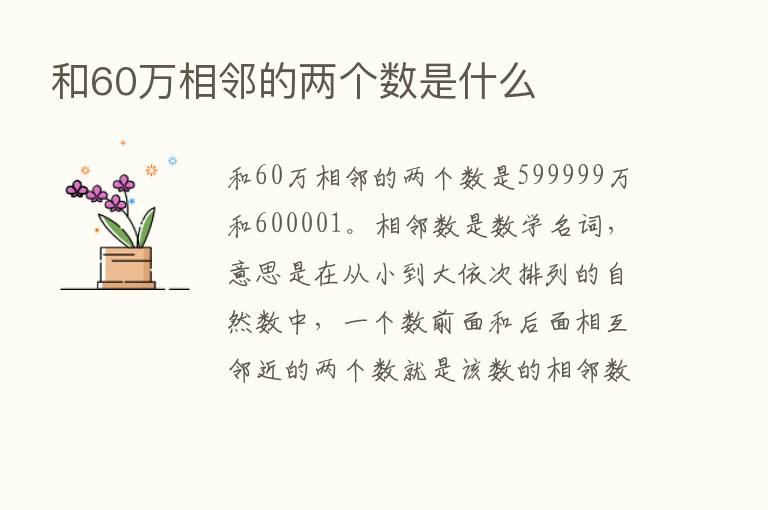 和60万相邻的两个数是什么