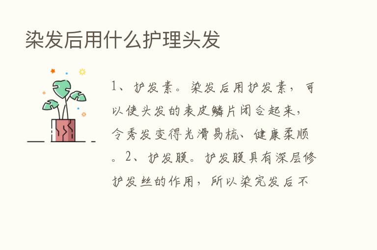 染发后用什么护理头发