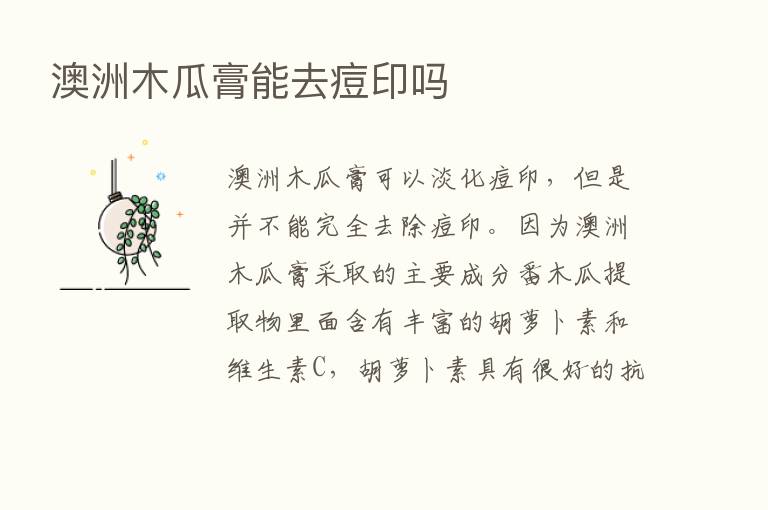 澳洲木瓜膏能去痘印吗