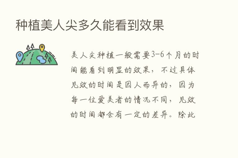 种植美人尖多久能看到效果