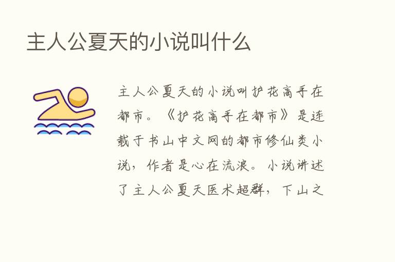 主人公夏天的小说叫什么