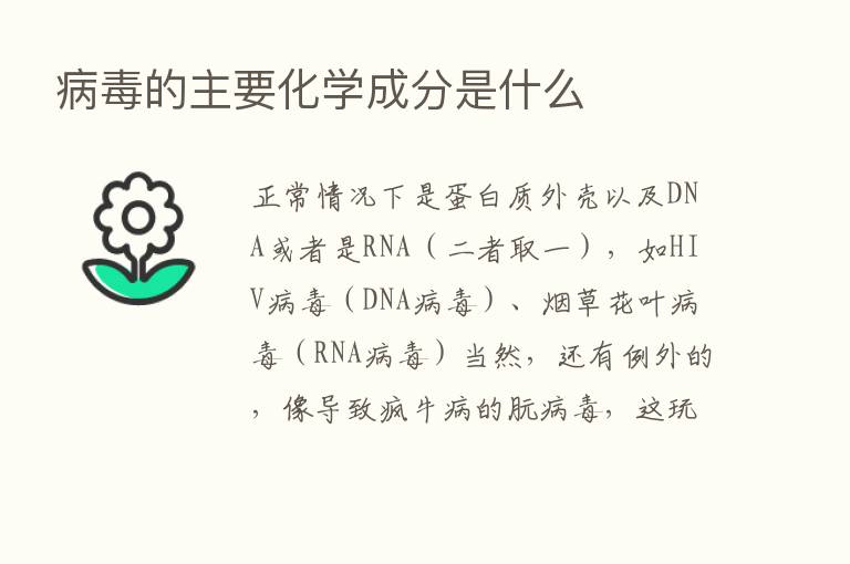 病毒的主要化学成分是什么