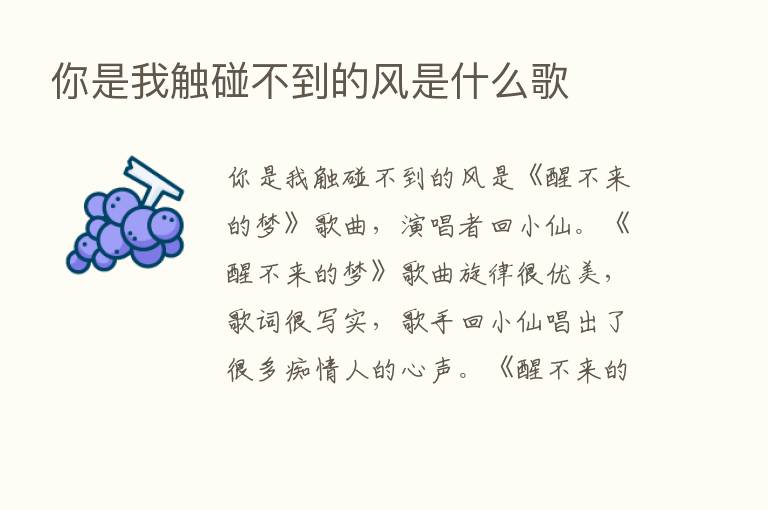 你是我触碰不到的风是什么歌