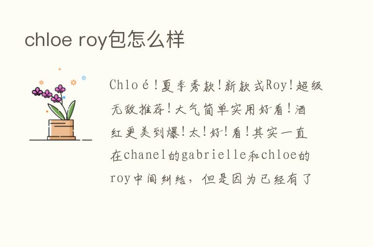 chloe roy包怎么样