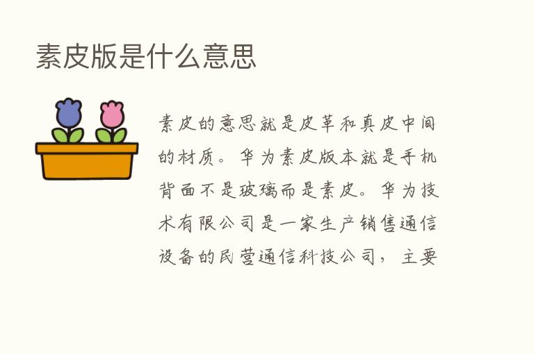 素皮版是什么意思