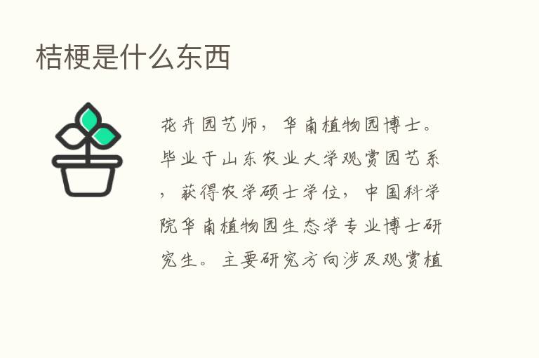 桔梗是什么东西