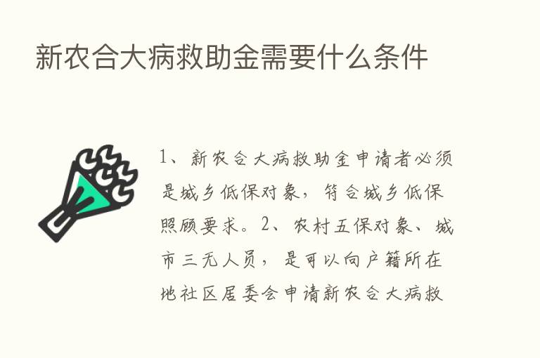 新农合大病救助金需要什么条件