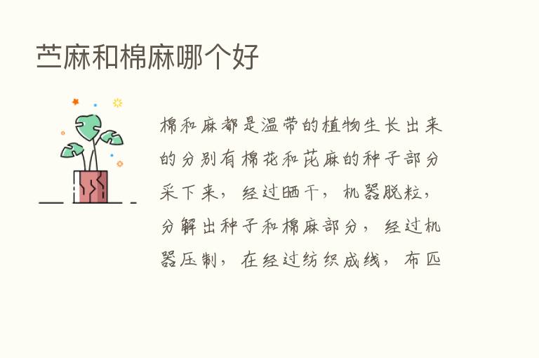 苎麻和棉麻哪个好