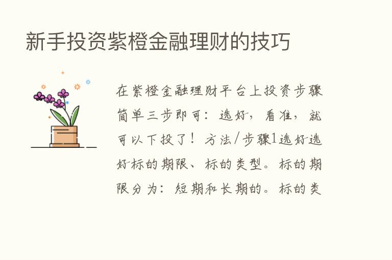 新手投资紫橙金融理财的技巧