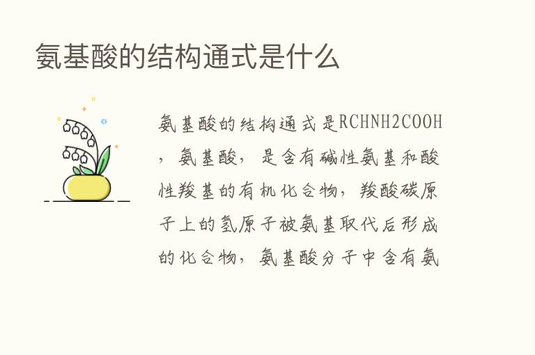 氨基酸的结构通式是什么