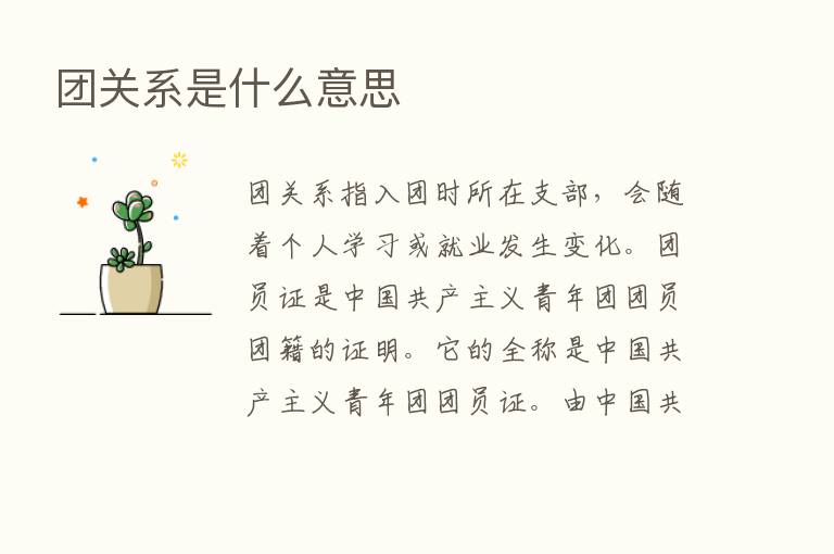 团关系是什么意思