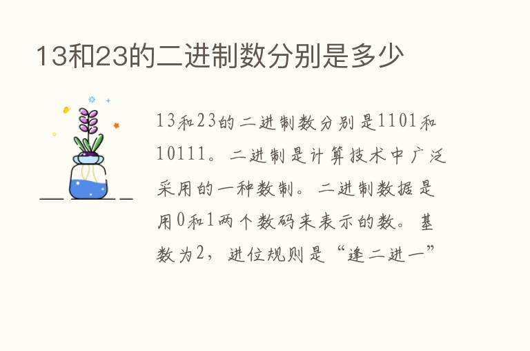 13和23的二进制数分别是多少