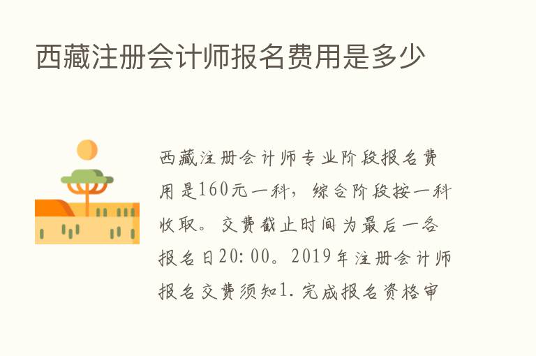 西藏注册会计师报名费用是多少