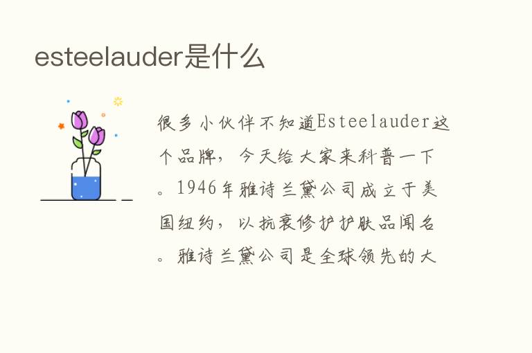 esteelauder是什么