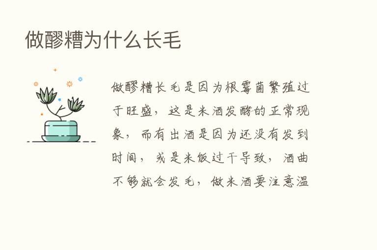 做醪糟为什么长毛