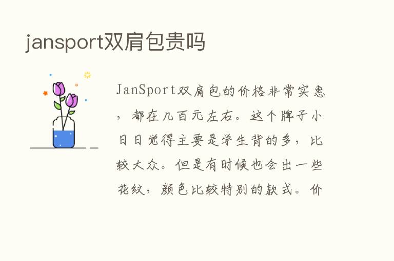 jansport双肩包贵吗