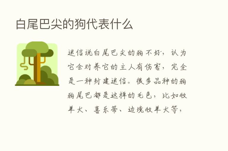 白尾巴尖的狗代表什么