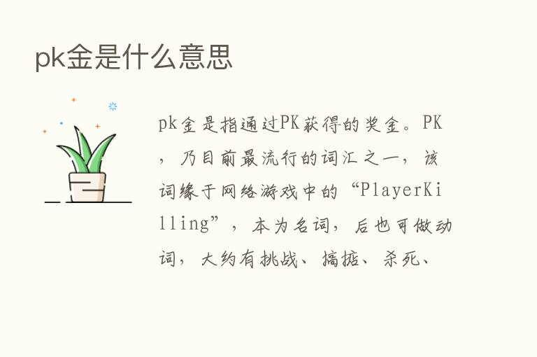 pk金是什么意思