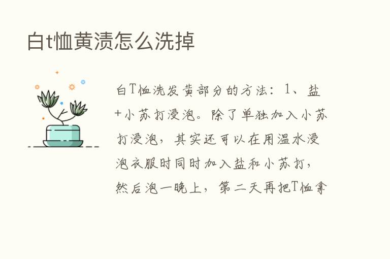 白t恤黄渍怎么洗掉