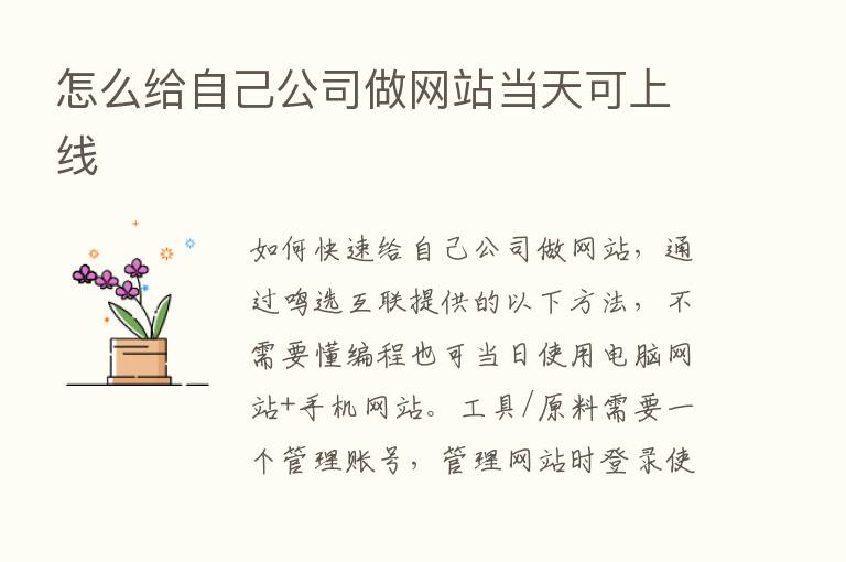 怎么给自己公司做网站当天可上线