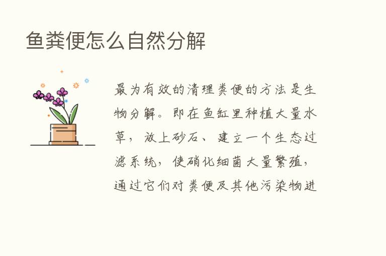 鱼粪便怎么自然分解