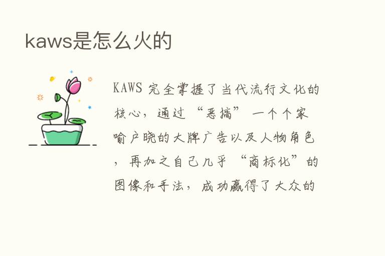 kaws是怎么火的