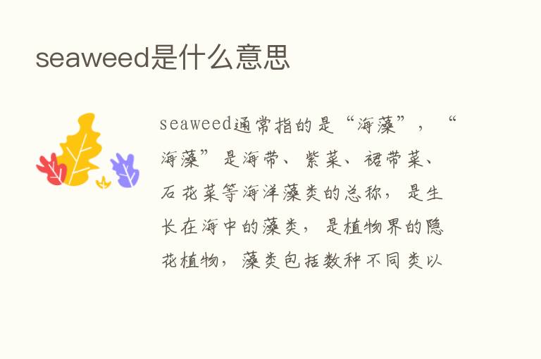 seaweed是什么意思