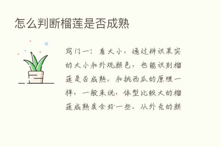 怎么判断榴莲是否成熟