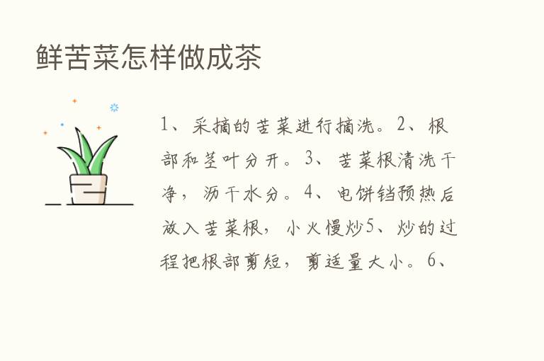 鲜苦菜怎样做成茶