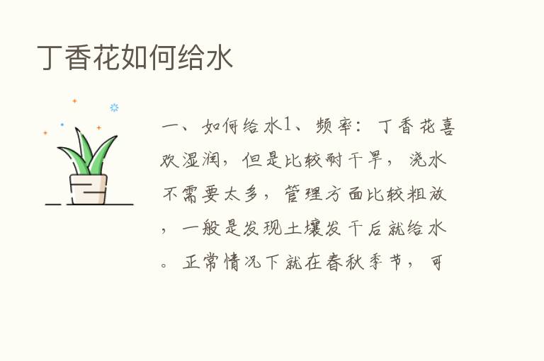 丁香花如何给水