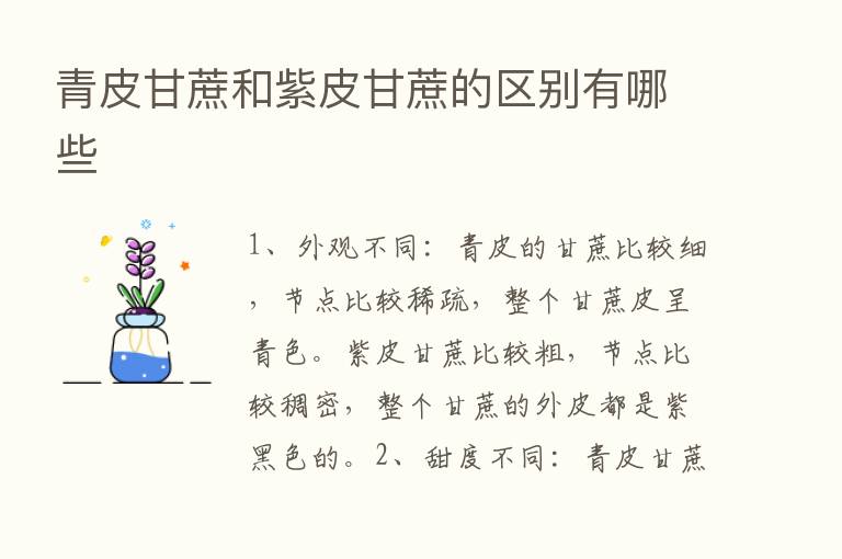 青皮甘蔗和紫皮甘蔗的区别有哪些