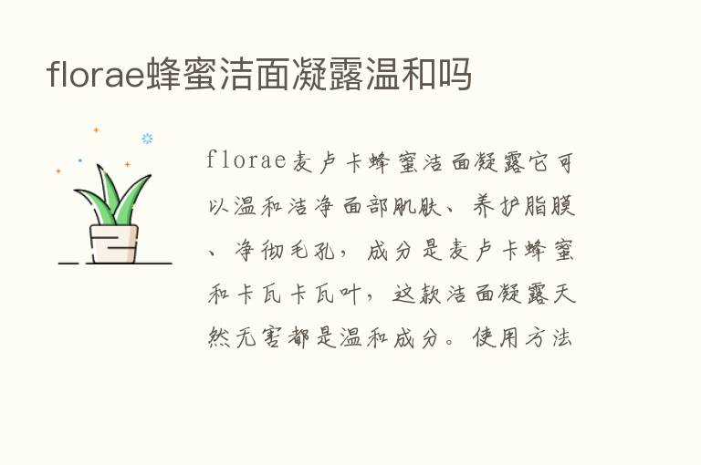 florae蜂蜜洁面凝露温和吗