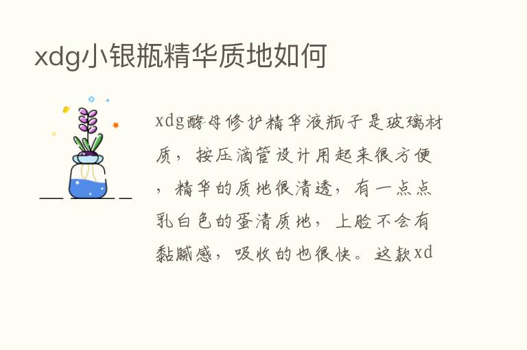 xdg小银瓶精华质地如何