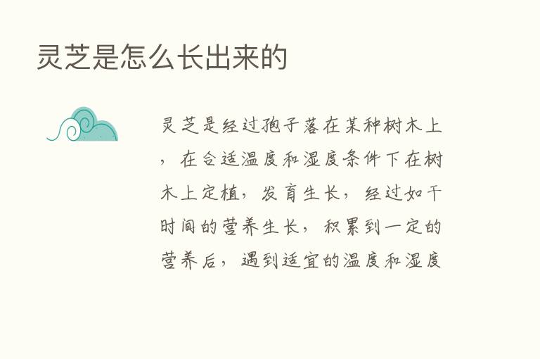 灵芝是怎么长出来的