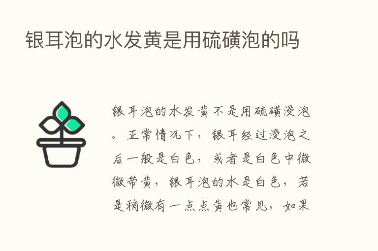 银耳泡的水发黄是用硫磺泡的吗