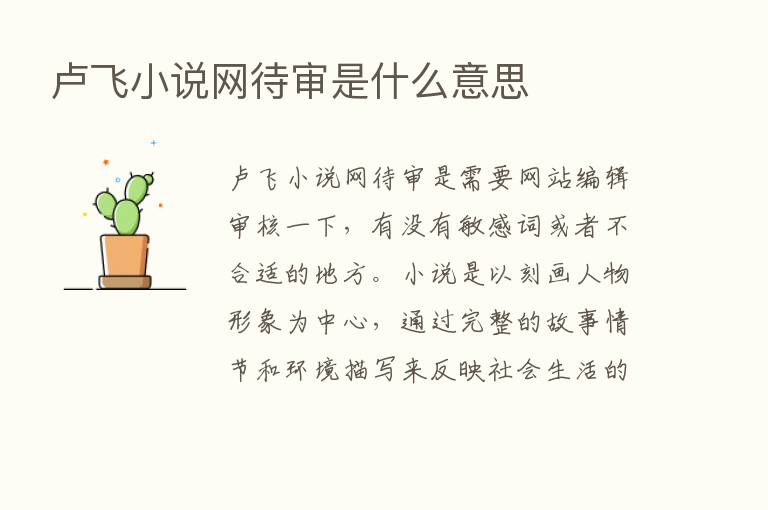 卢飞小说网待审是什么意思