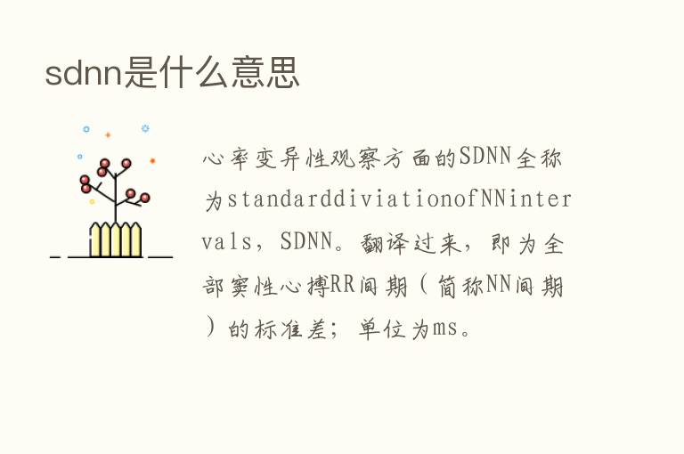 sdnn是什么意思